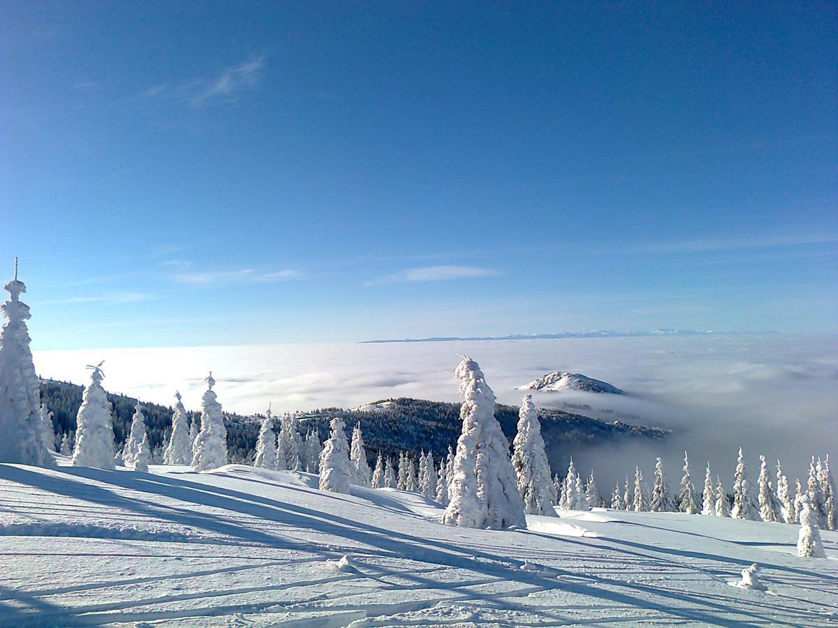 Vikendica Vila Despotovic Kopaonik Exterior photo