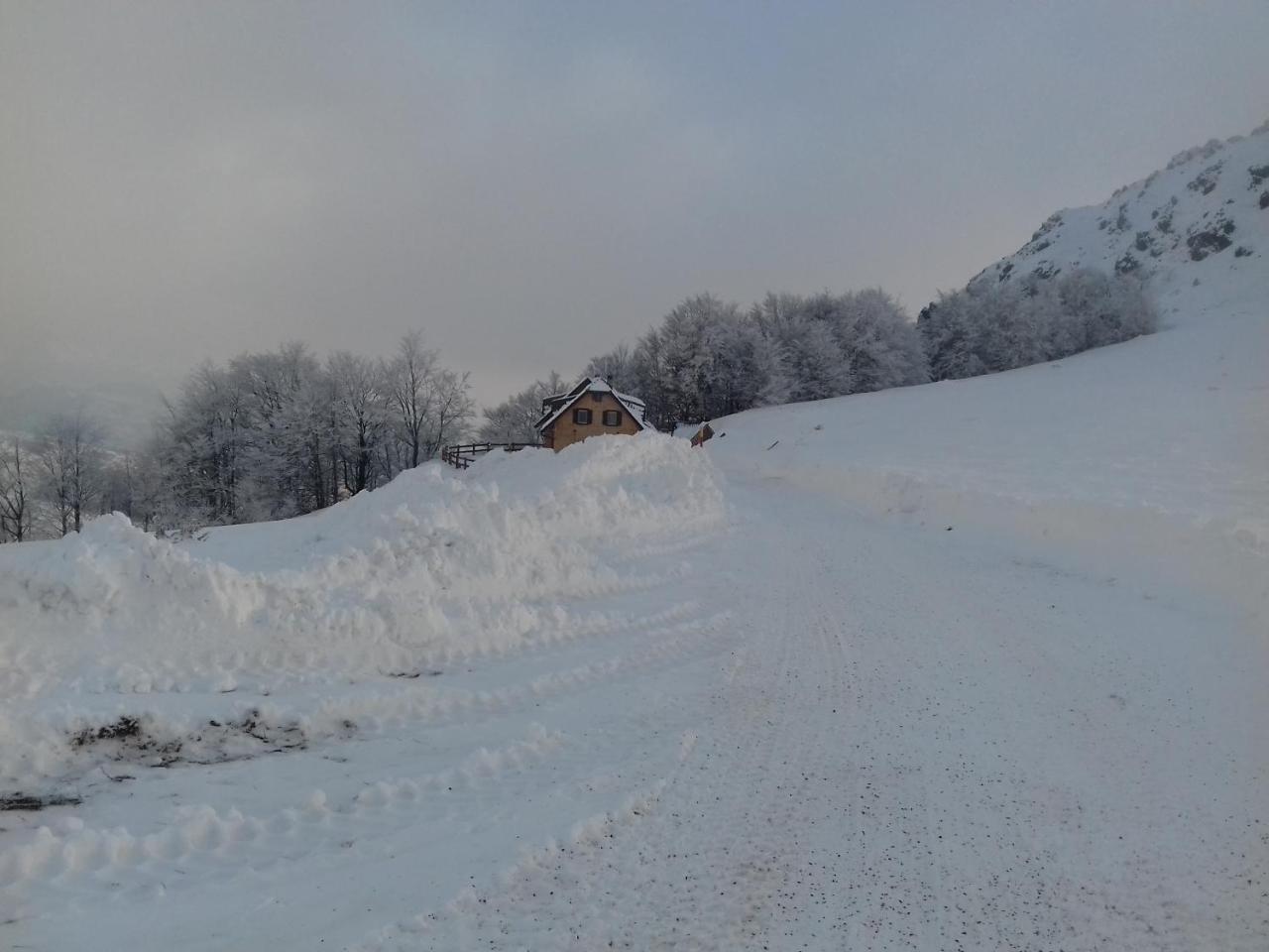 Vikendica Vila Despotovic Kopaonik Exterior photo